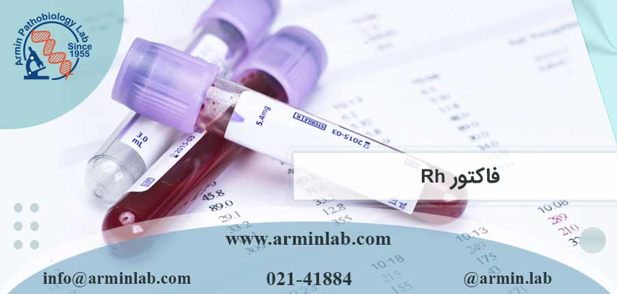 فاکتور Rh
