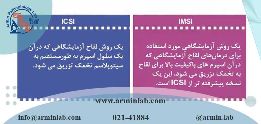 تفاوت بین ICSI و IMSI چیست؟