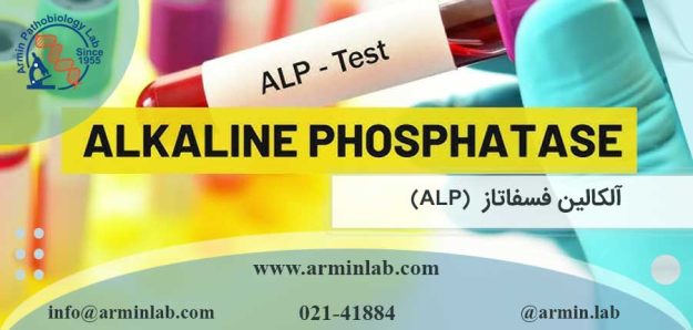 آلکالین فسفاتاز (ALP)