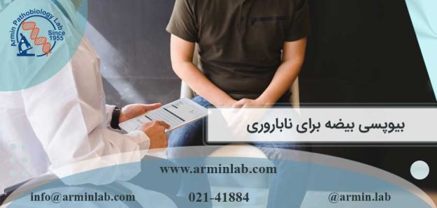 بیوپسی بیضه برای ناباروری