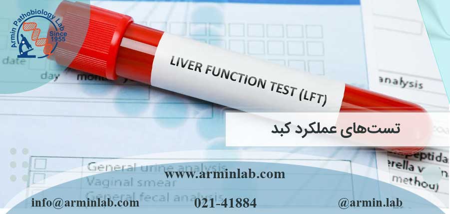 تست-های-عملکرد-کبدarminlab همهچیز درباره تستهای عملکرد کبد