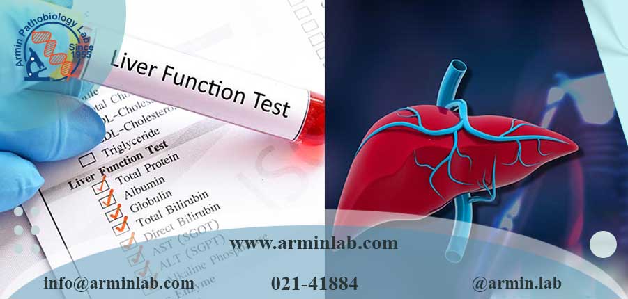 همه‌چیز درباره تست‌های عملکرد کبد
