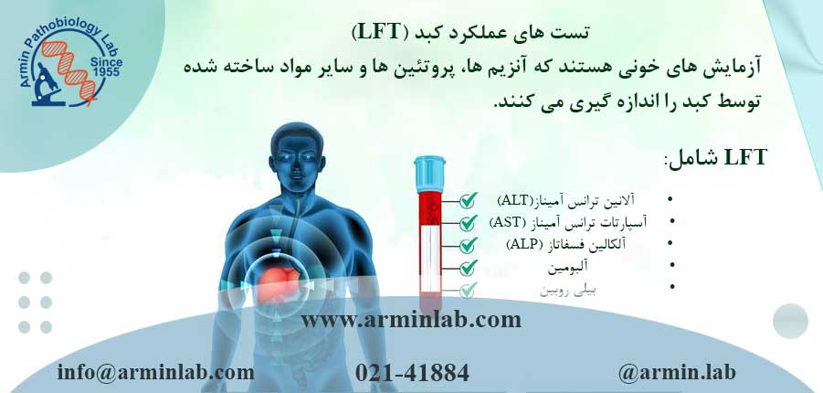 همه‌چیز درباره تست‌های عملکرد کبد