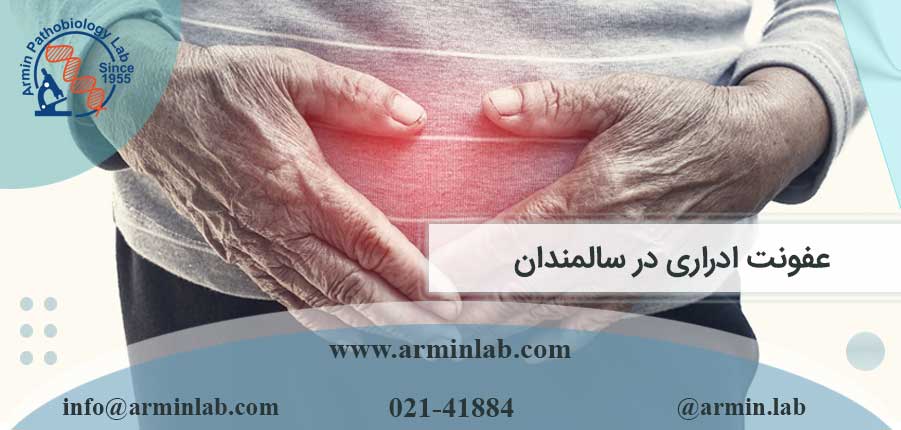 عفونت ادراری در سالمندان