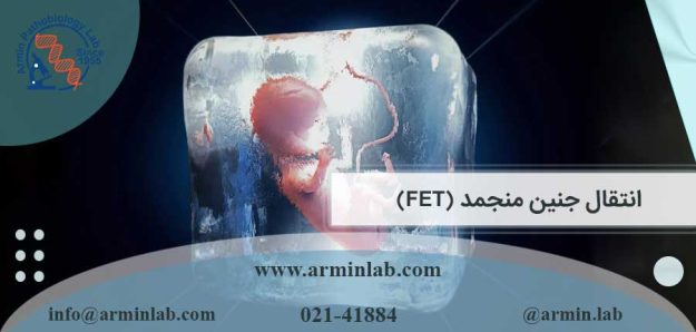 انتقال جنین منجمد (FET)
