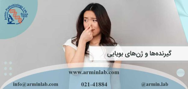 گیرنده‌ها و ژن‌های بویایی