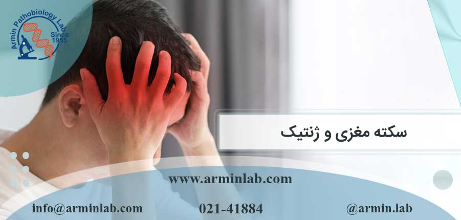 سکته مغزی و ژنتیک