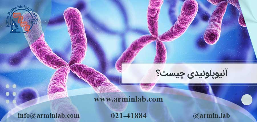 آنیوپلوئیدی چیست؟