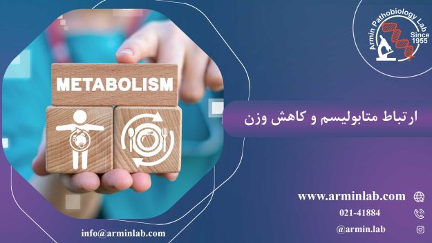 ارتباط متابولیسم و کاهش وزن