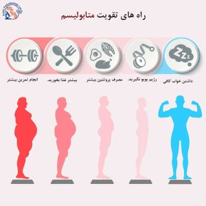 ارتباط متابولیسم و کاهش وزن