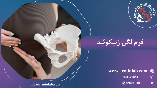 فرم-لگن-ژنیکوئیدarminlab1 فرم لگن ژنیکوئید