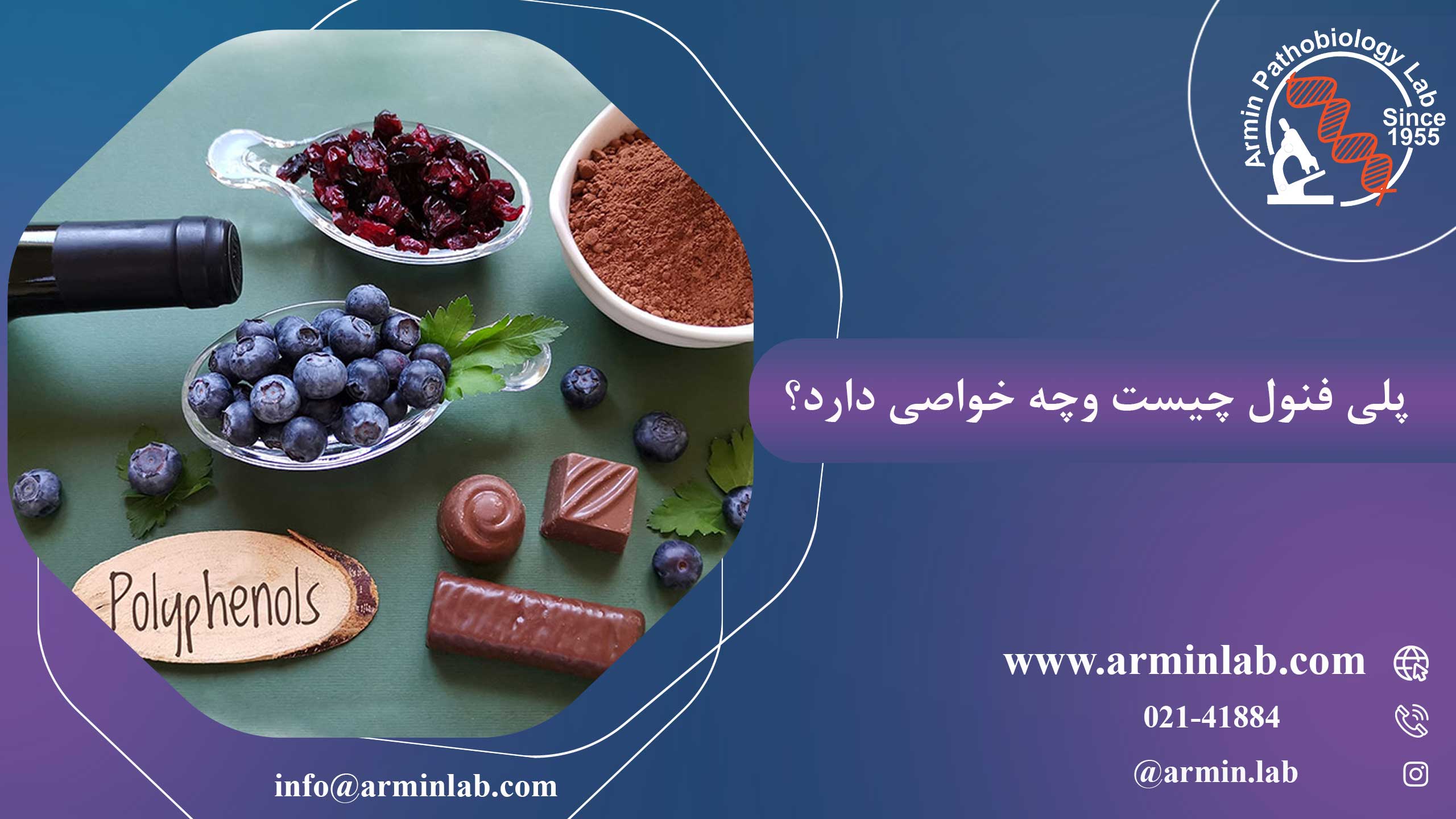 پلی فنول ها چیست؟