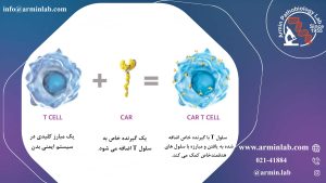 کارتی سل تراپی 