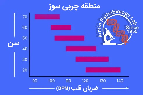 ضربان-قلب-چربی-سوزarminlab.jpg
