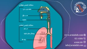 استریدور (تنفس پر سر و صدا) 2