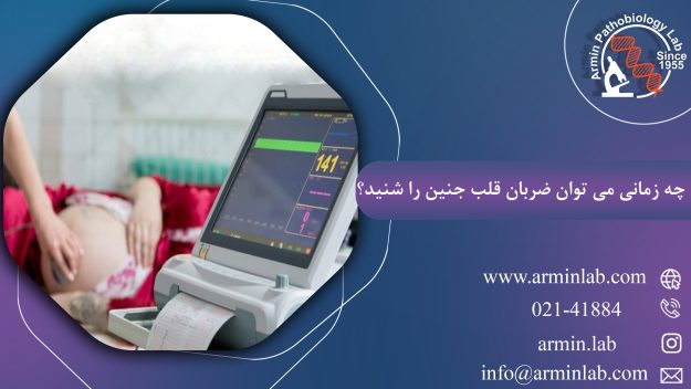 چه زمانی می توان ضربان قلب جنین را شنید؟