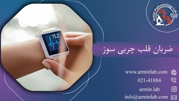 ضربان قلب چربی سوز