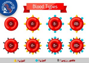کودک من چه گروه خونی خواهد داشت؟