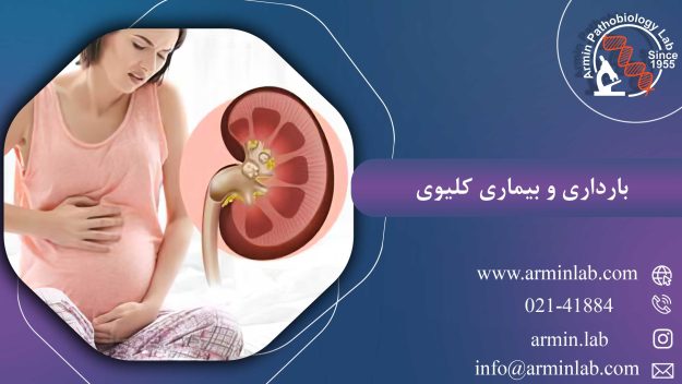 بارداری و بیماری کلیوی