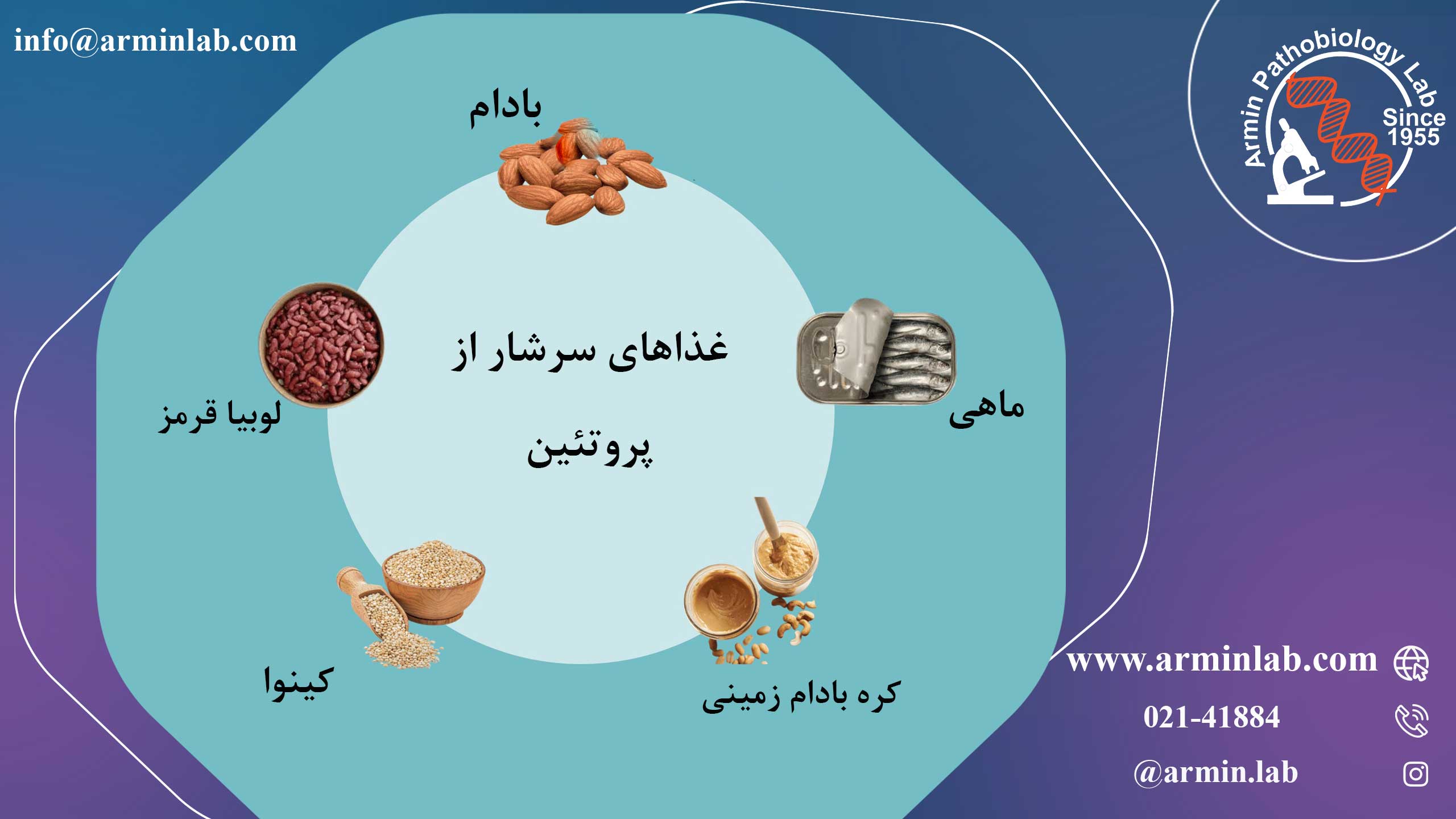 چه غذاهایی سرشار از پروتئین هستند؟