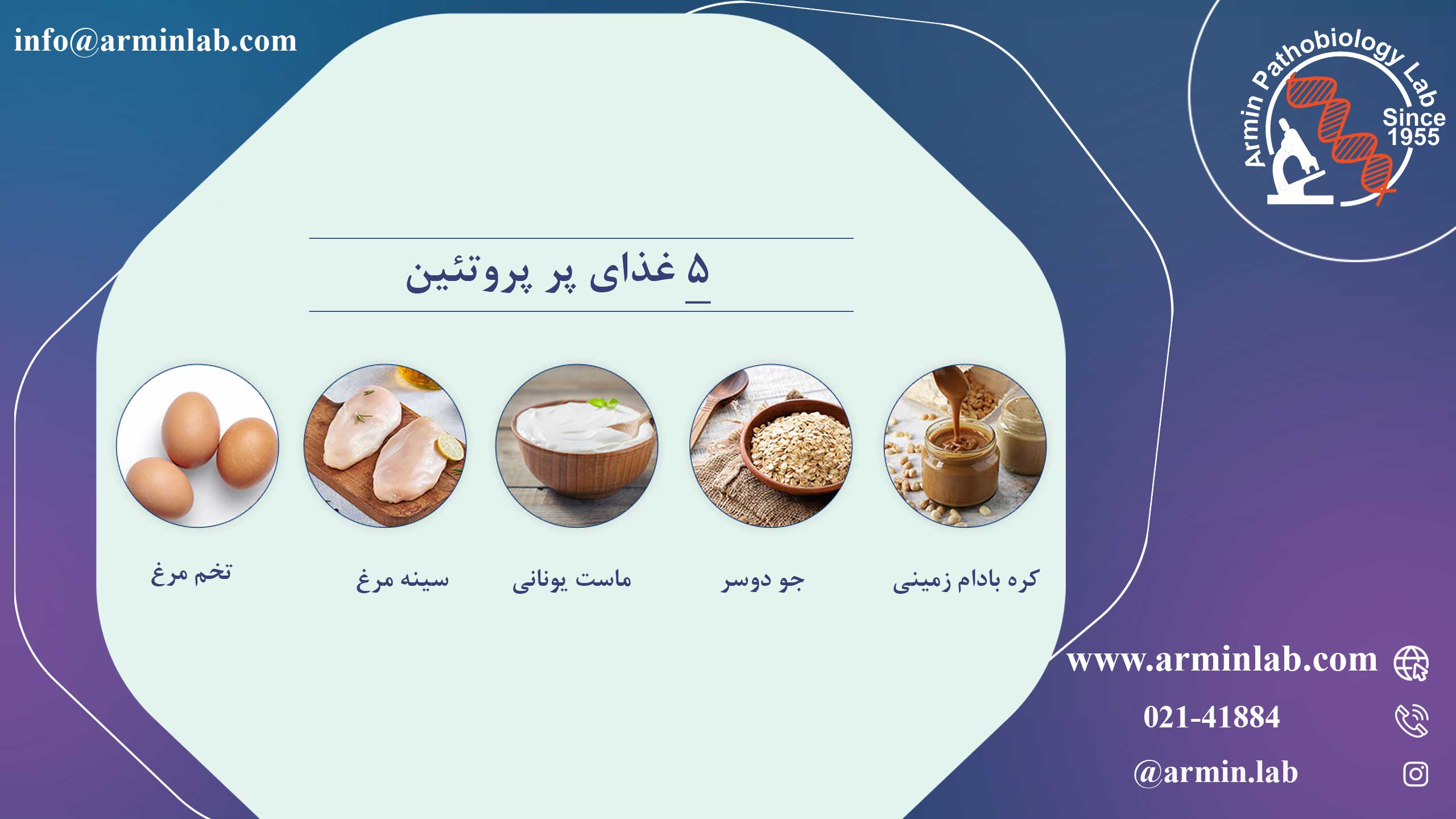 چه غذاهایی سرشار از پروتئین هستند؟