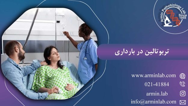 تربوتالین در بارداری