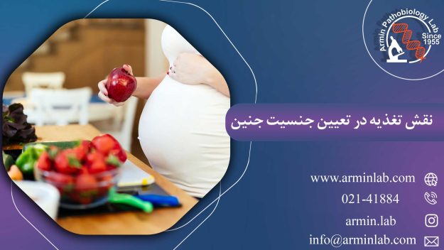 نقش تغذیه در تعیین جنسیت جنین چیست؟