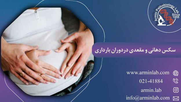 سکس دهانی و مقعدی دردوران بارداری