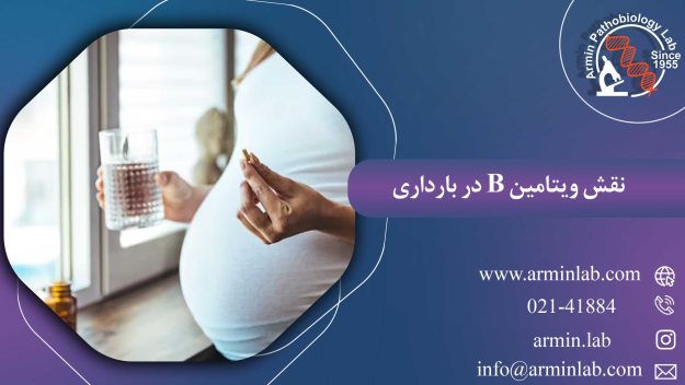 نقش ویتامین B در بارداری