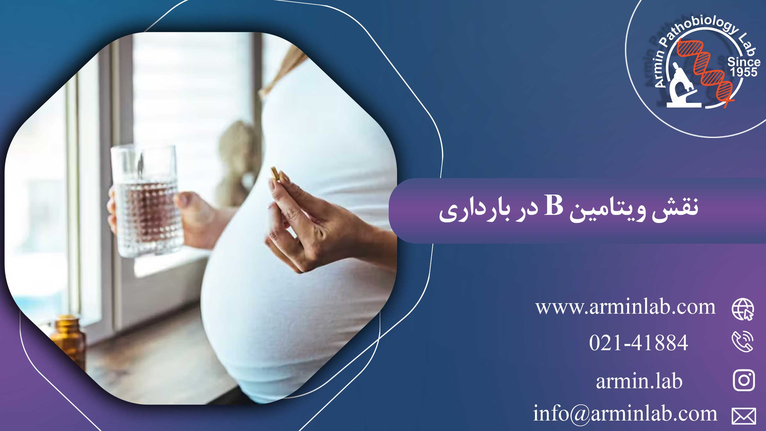 نقش ویتامین B در بارداری