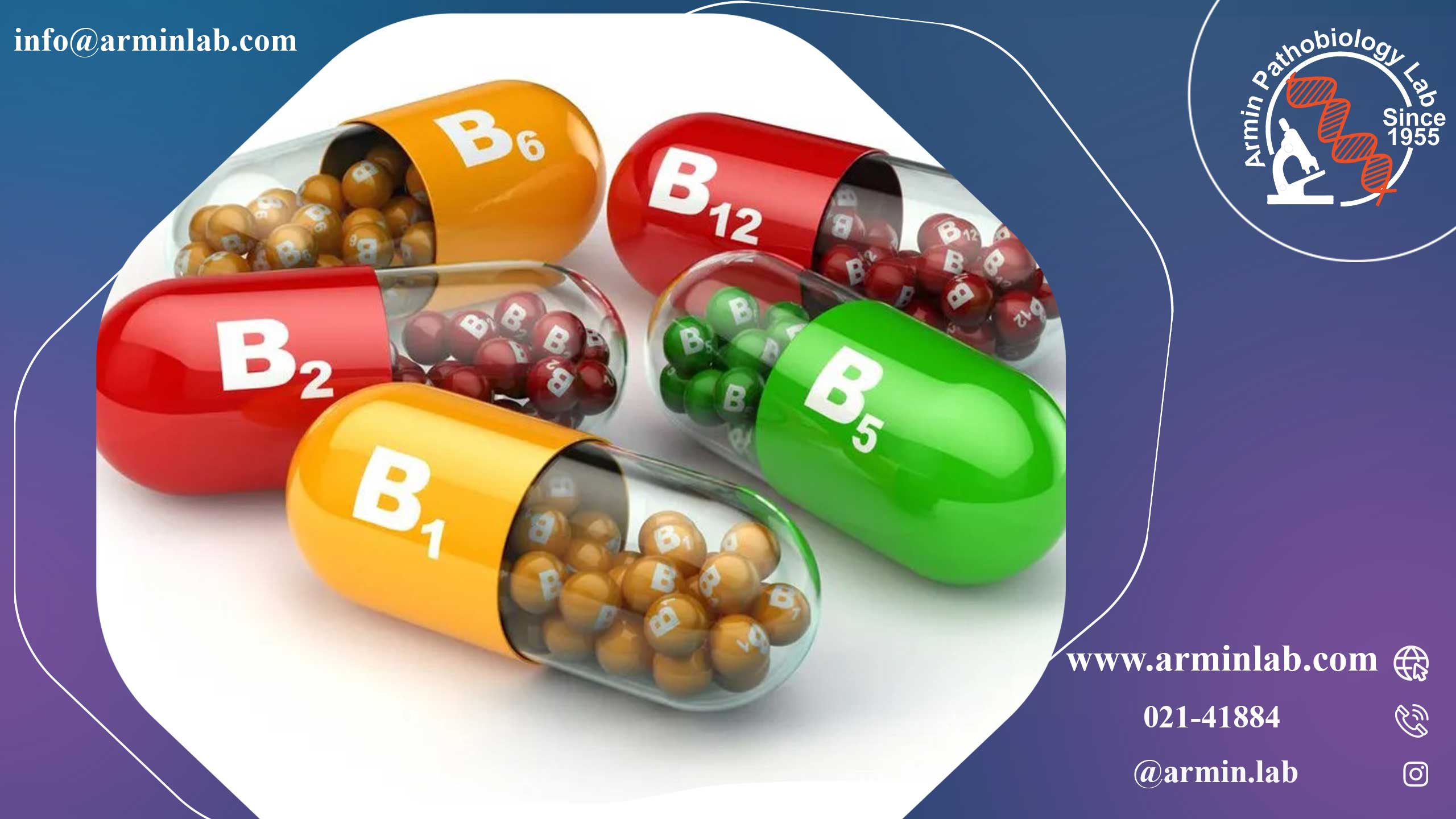 نقش ویتامین B در بارداری