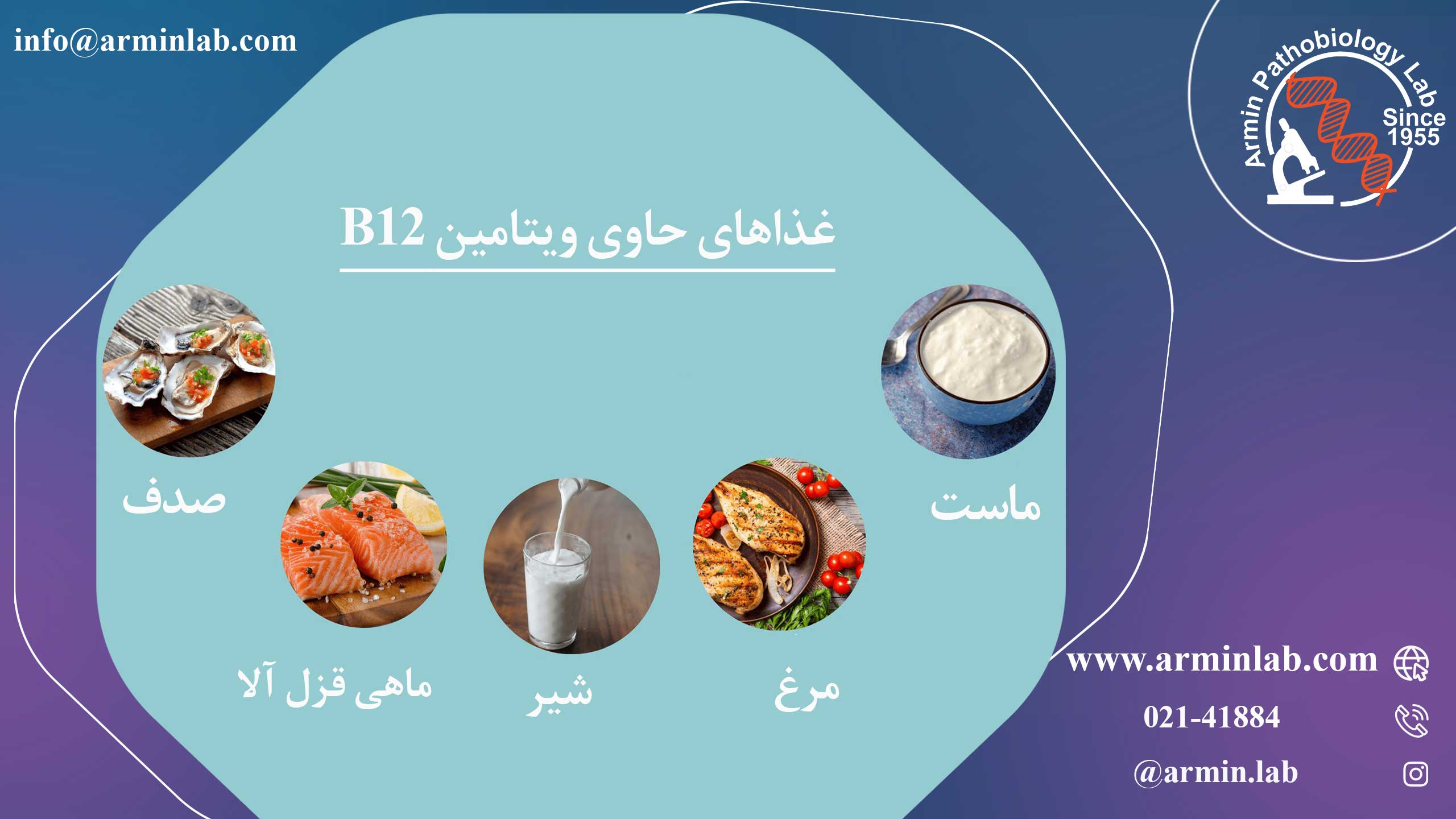 نقش ویتامین B در بارداری