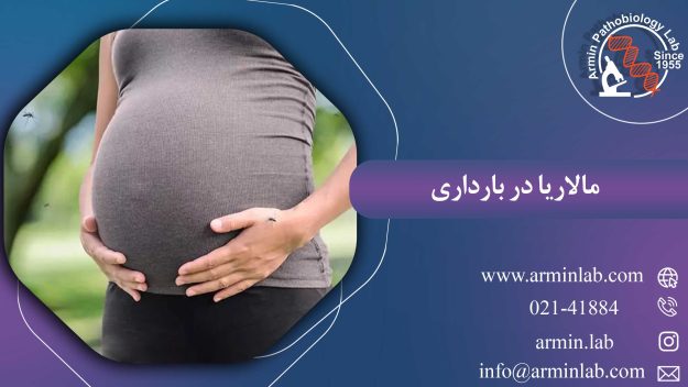 مالاریا در بارداری