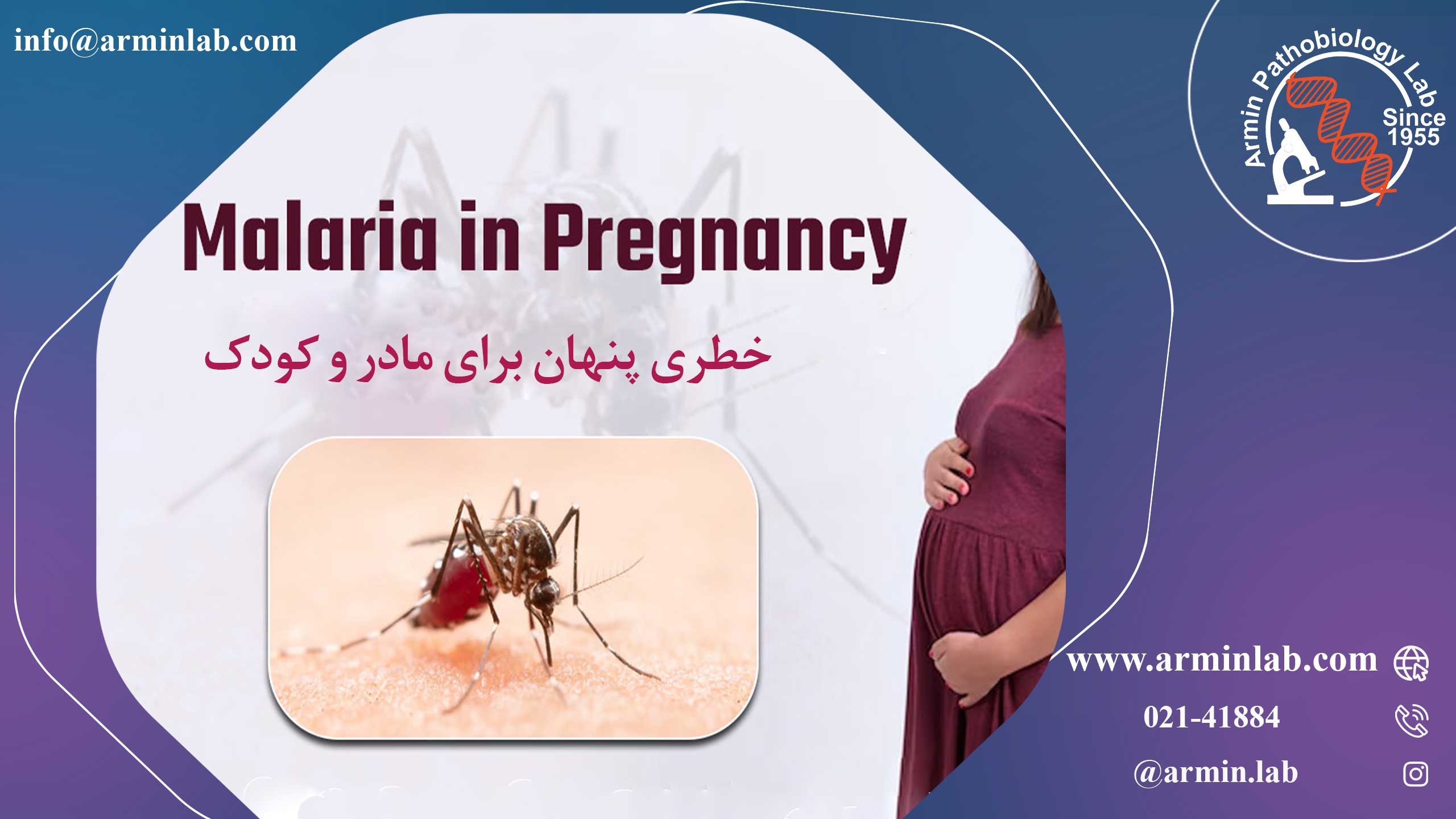 مالاریا در بارداری