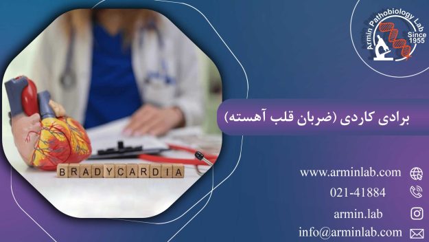 برادی کاردی (ضربان قلب آهسته)