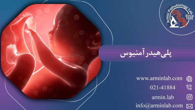 پلی‌هیدرآمنیوس