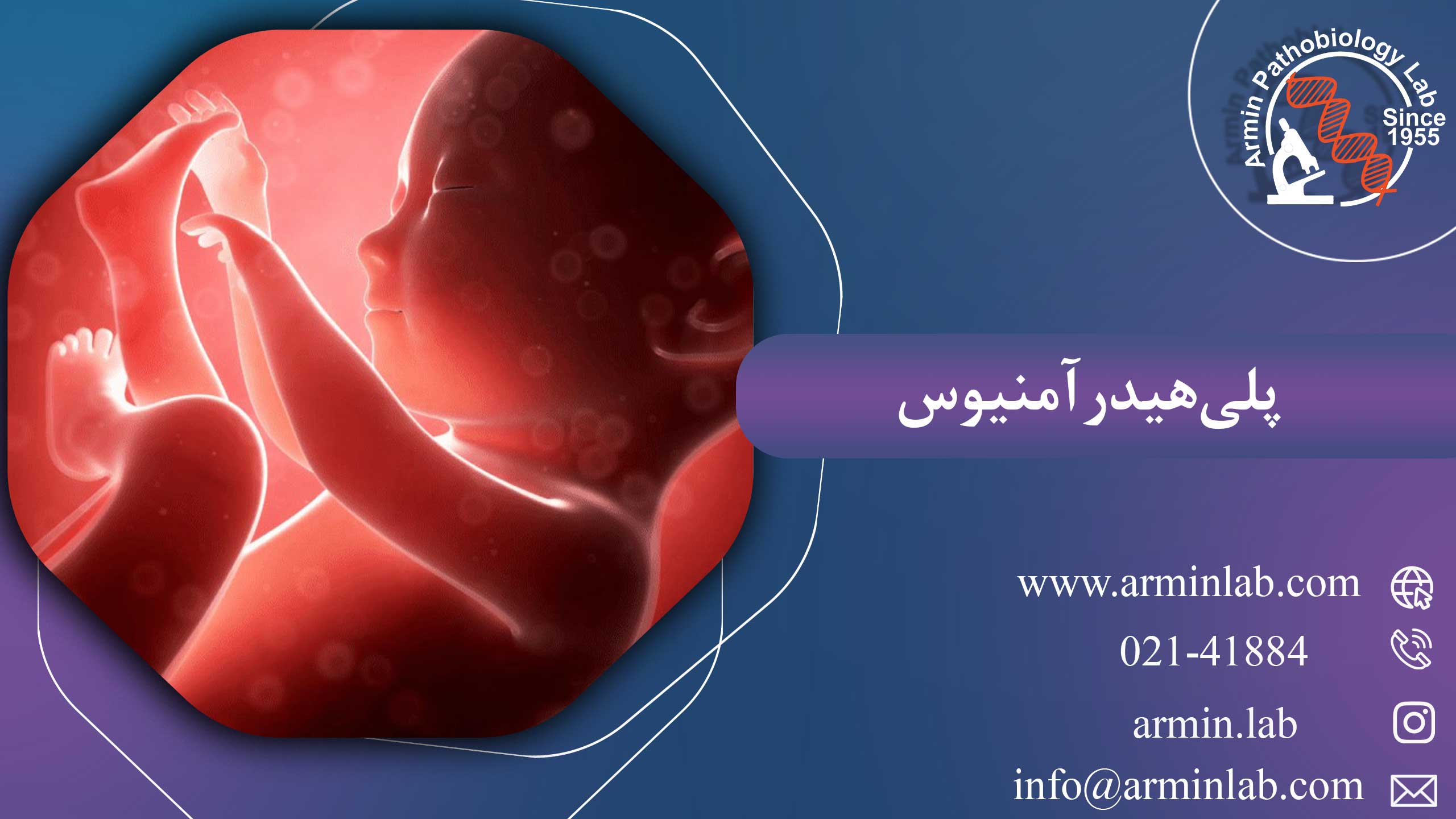 پلی‌هیدرآمنیوس