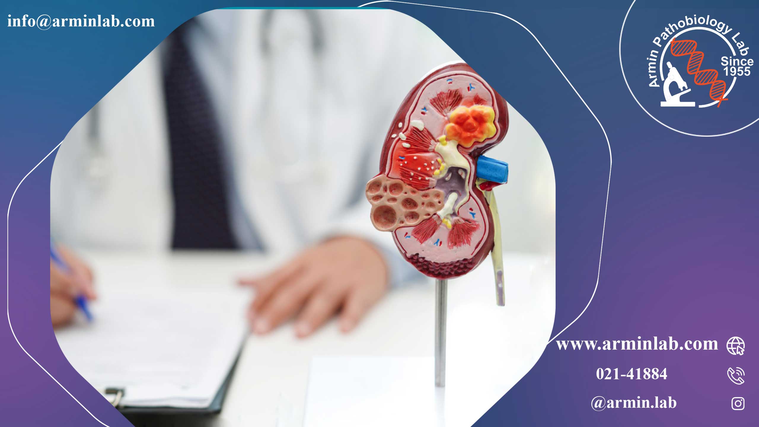 نفریت بینابینی