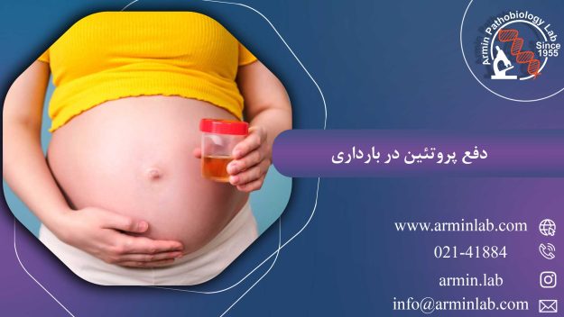 دفع-پروتئین-در-بارداریarminlab1 دفع پروتئین در بارداری