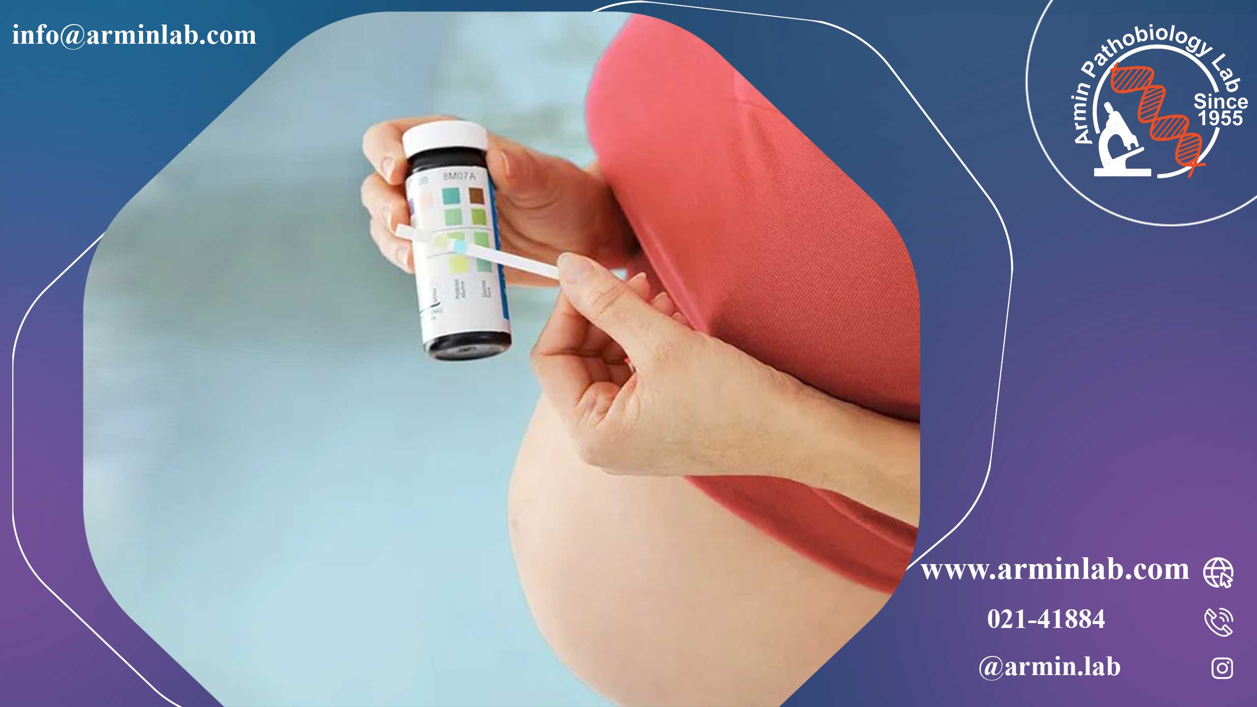 دفع پروتئین در بارداری