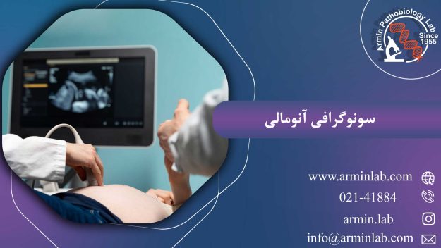 سونوگرافی-آنومالیarminlab1 سونوگرافی آنومالی