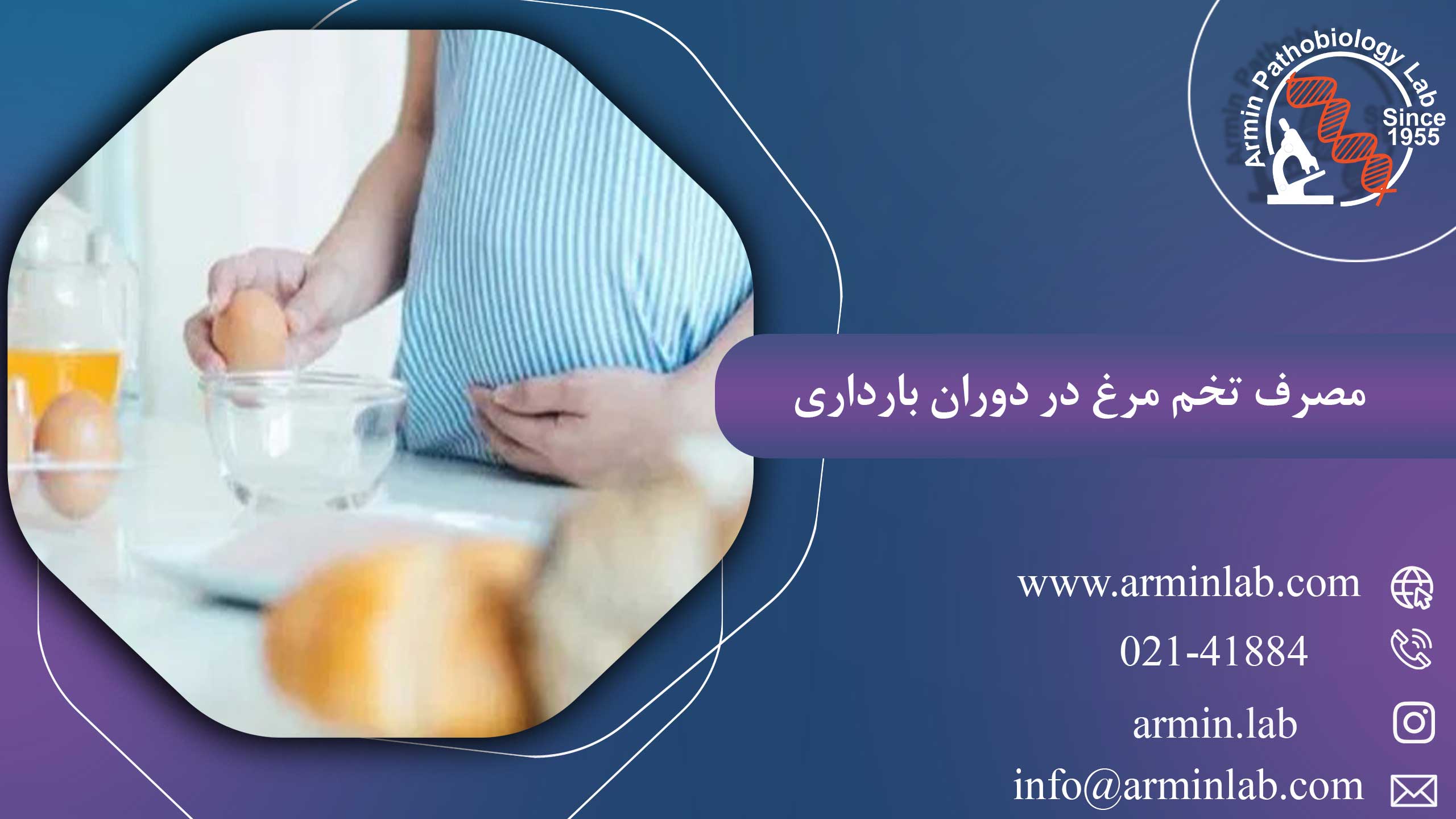 مصرف تخم مرغ در دوران بارداری