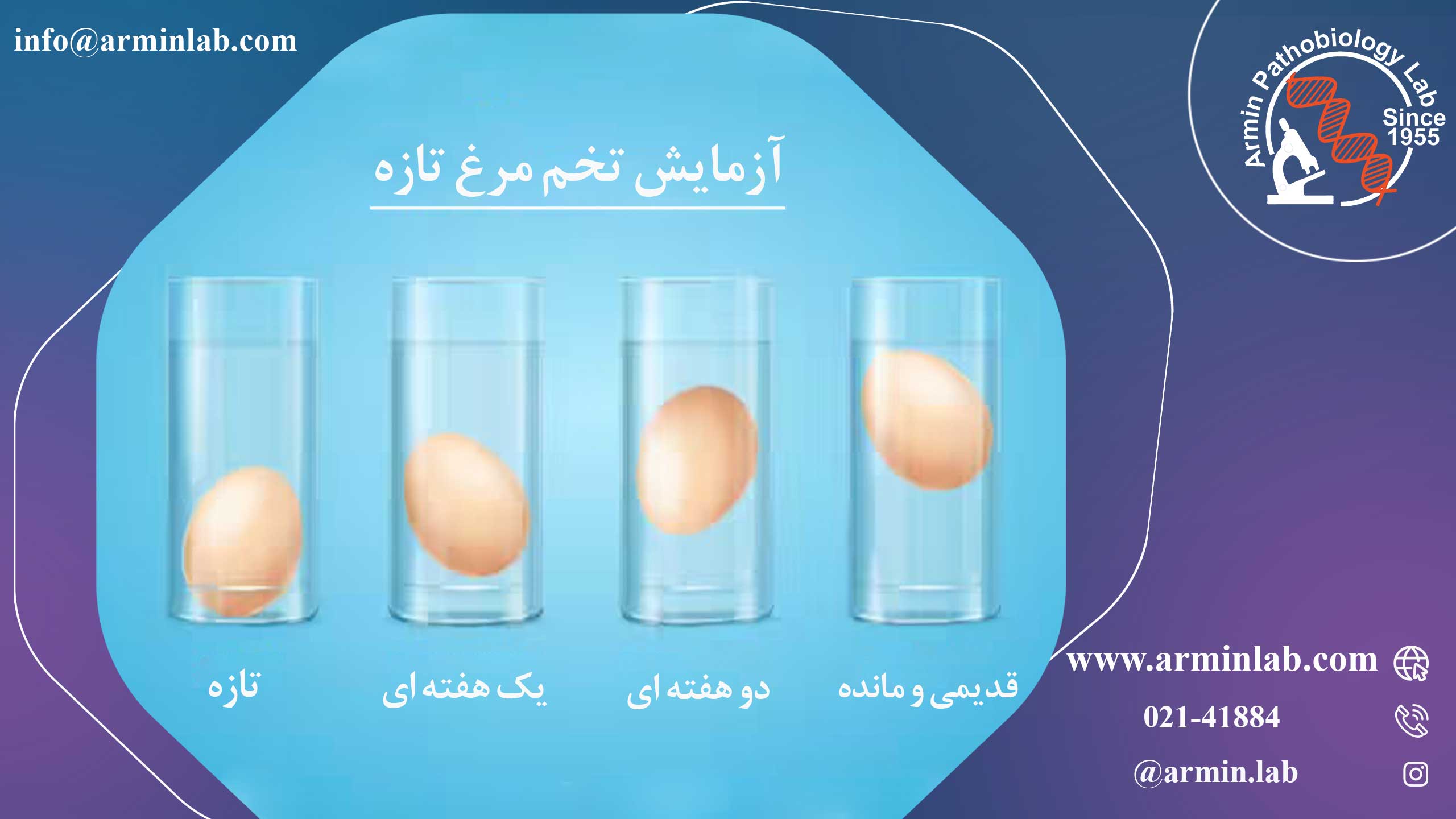 مصرف تخم مرغ در دوران بارداری 