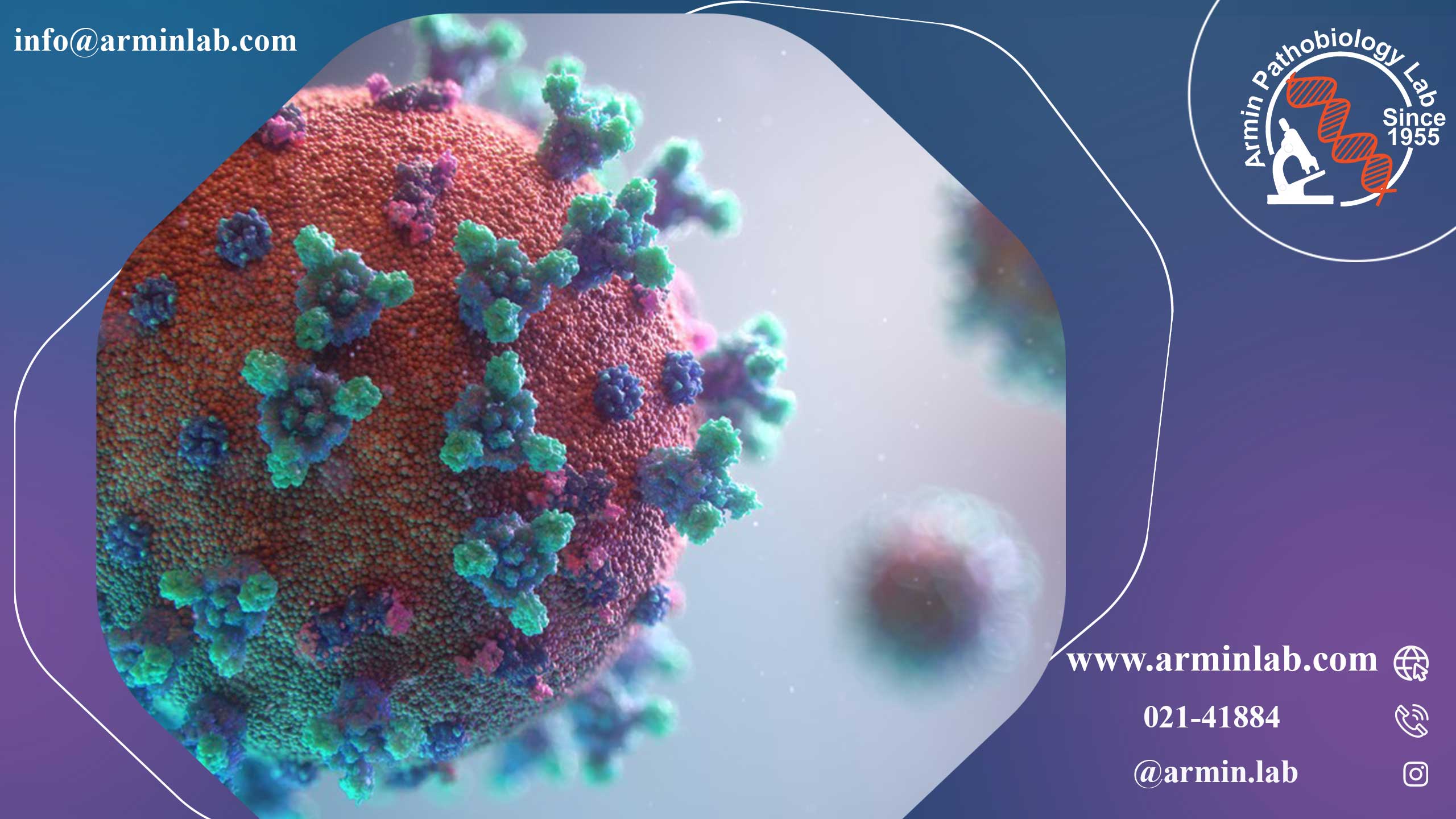 HIV و سویه های آن