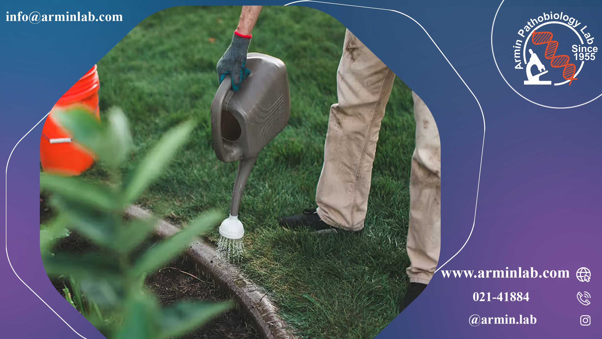 نوکاردیوز چیست؟