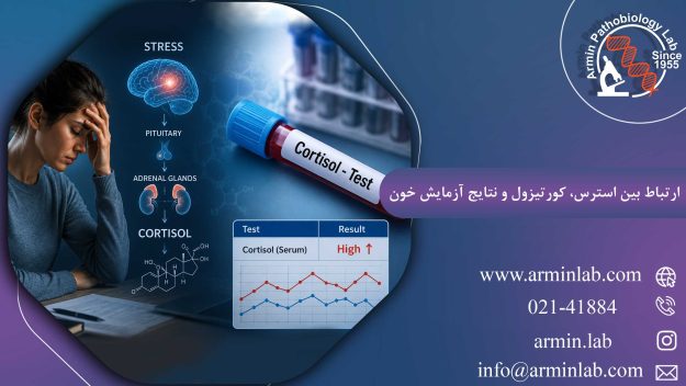 ارتباط-بین-استرس،-کورتیزول