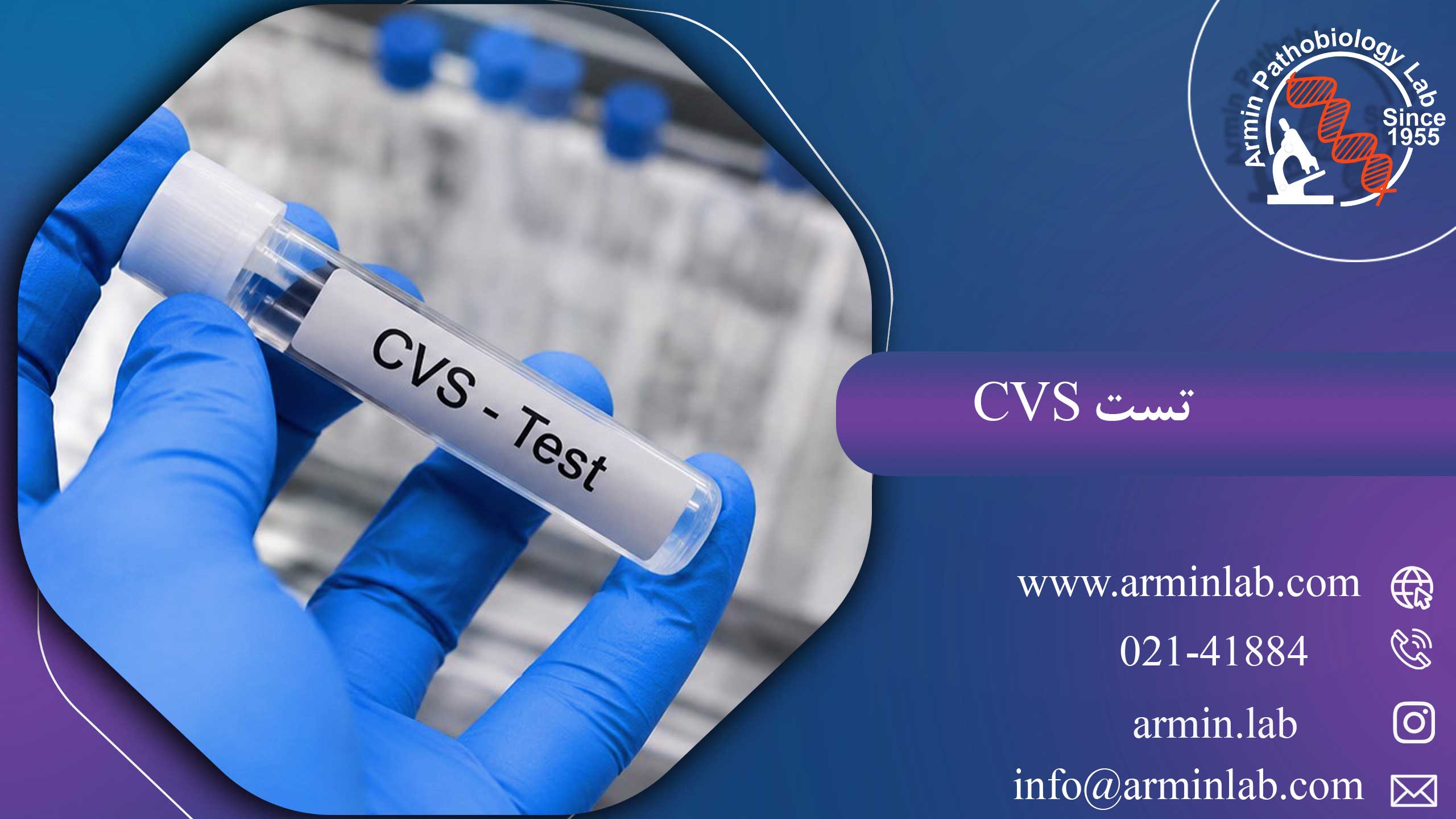 تست تست cvs