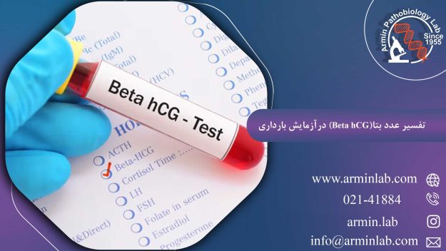تفسیر عدد بتا(Beta hCG) در آزمایش بارداری